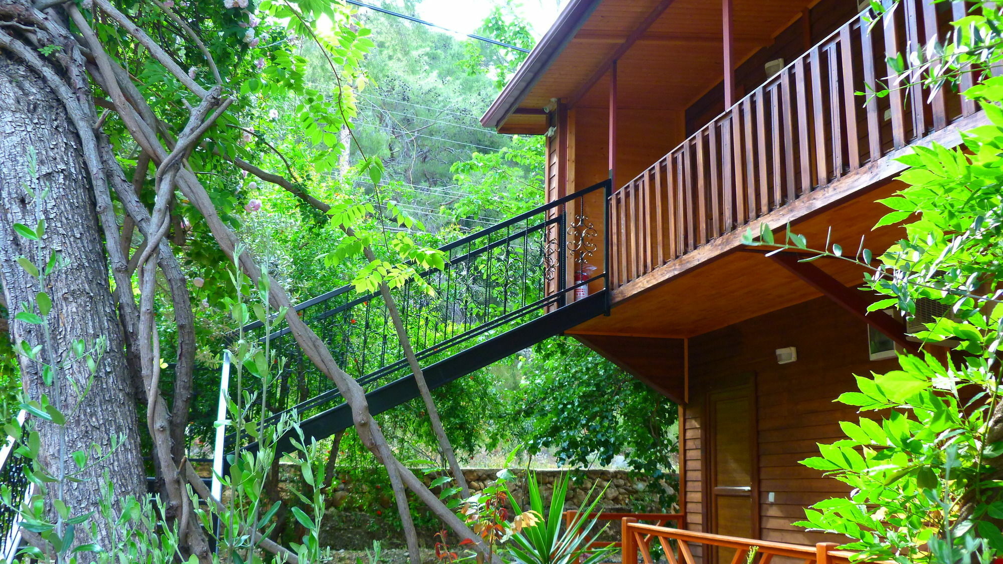 Cirali Simge Holiday Houses Bagian luar foto