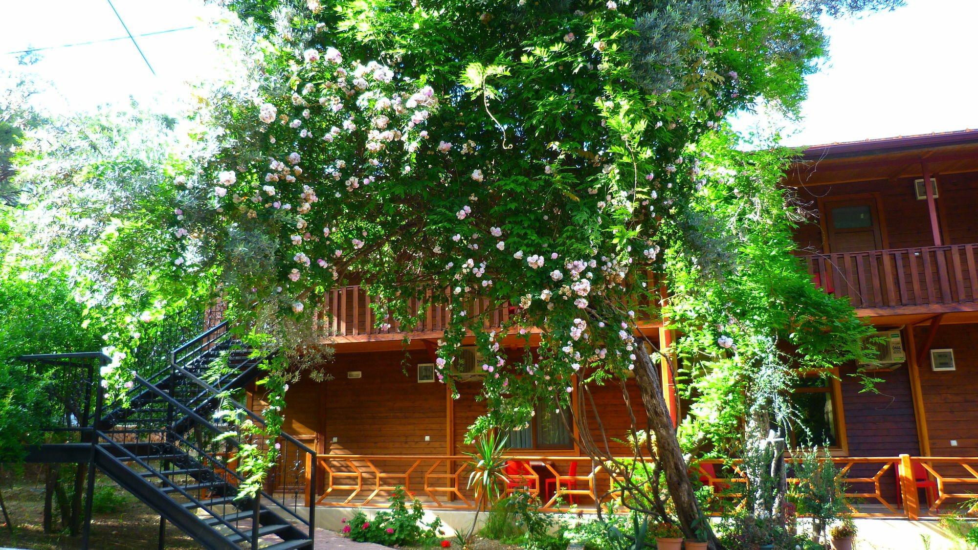 Cirali Simge Holiday Houses Bagian luar foto