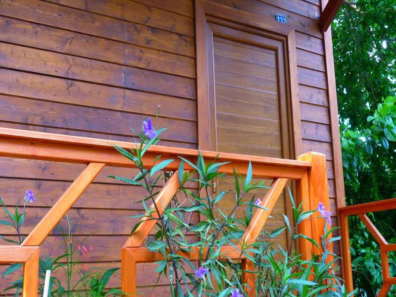 Cirali Simge Holiday Houses Bagian luar foto